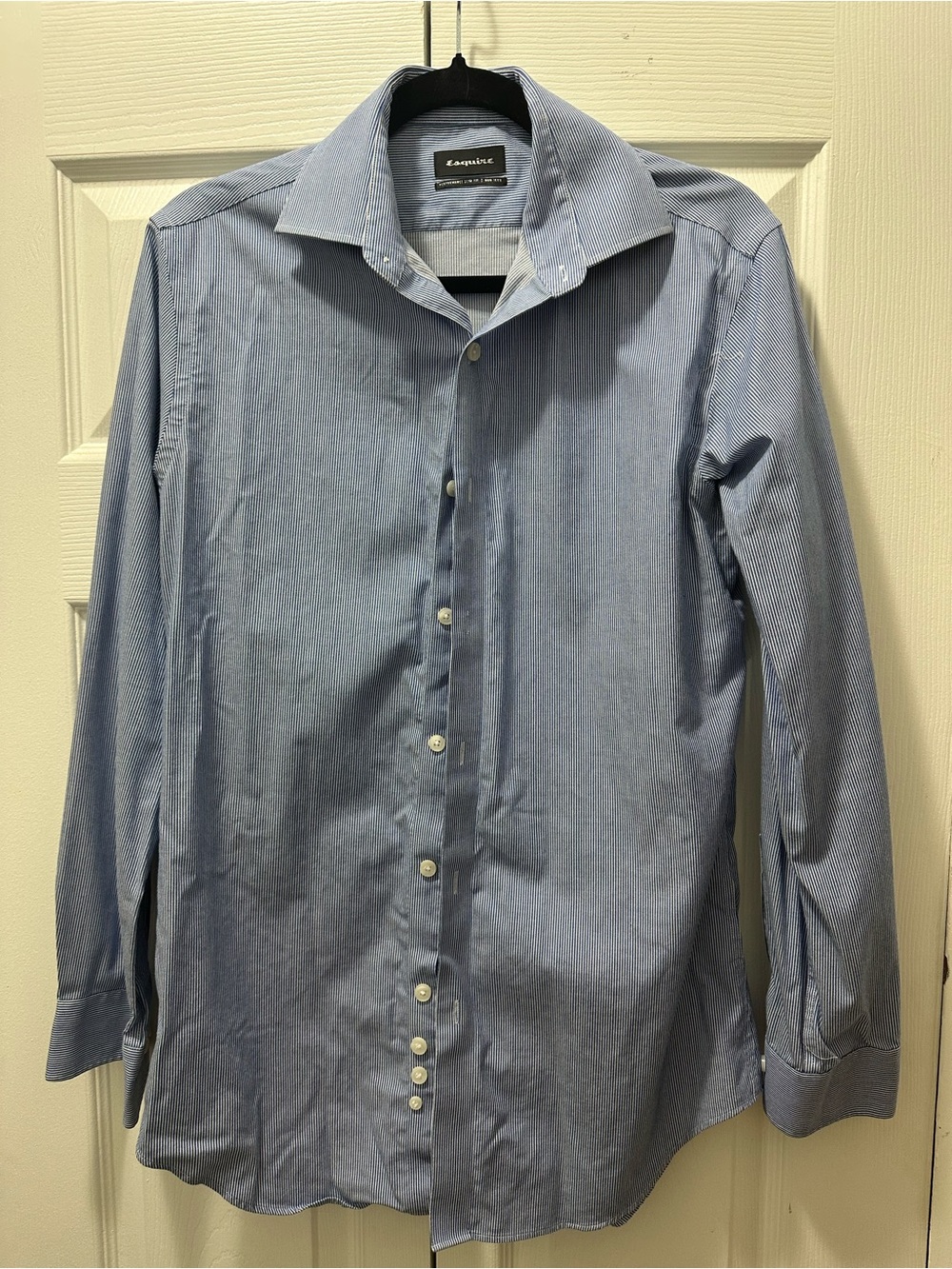 Esquire Light Blue Striped Long-Sleeve Dress Shirt